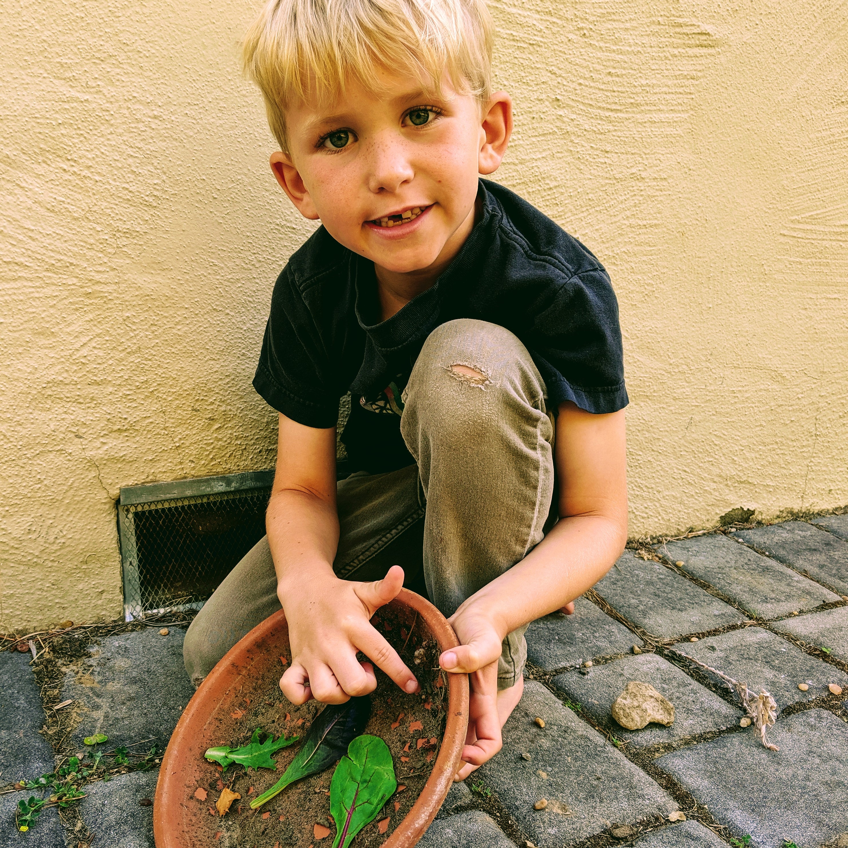 Elliot found a bug. We said he could not keep it in his bedroom. He gave the bug some lettuce.