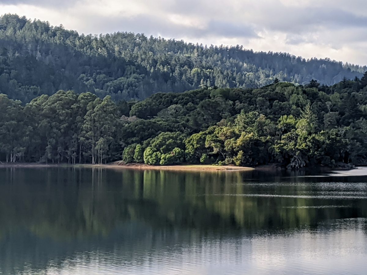 Lake reflection